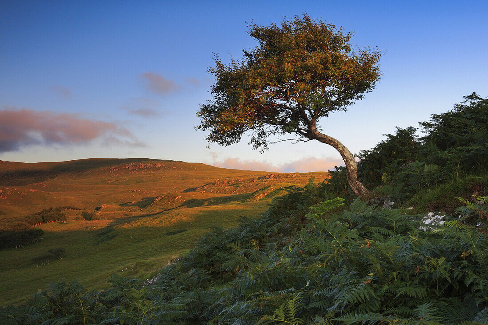 Highland birch by a loch: a quiet, enduring European estate seat